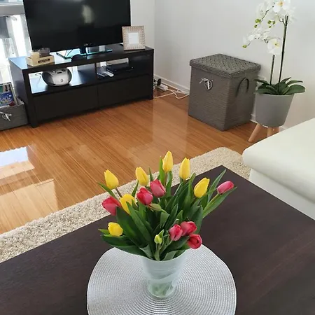 Apartment Moon Island